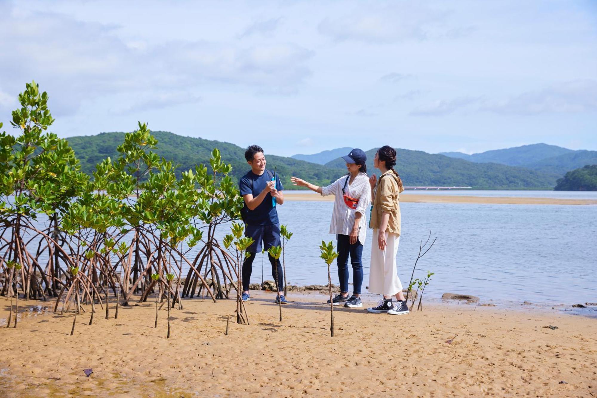 Iriomote Hotel By Hoshino Resorts Urauchi Ngoại thất bức ảnh