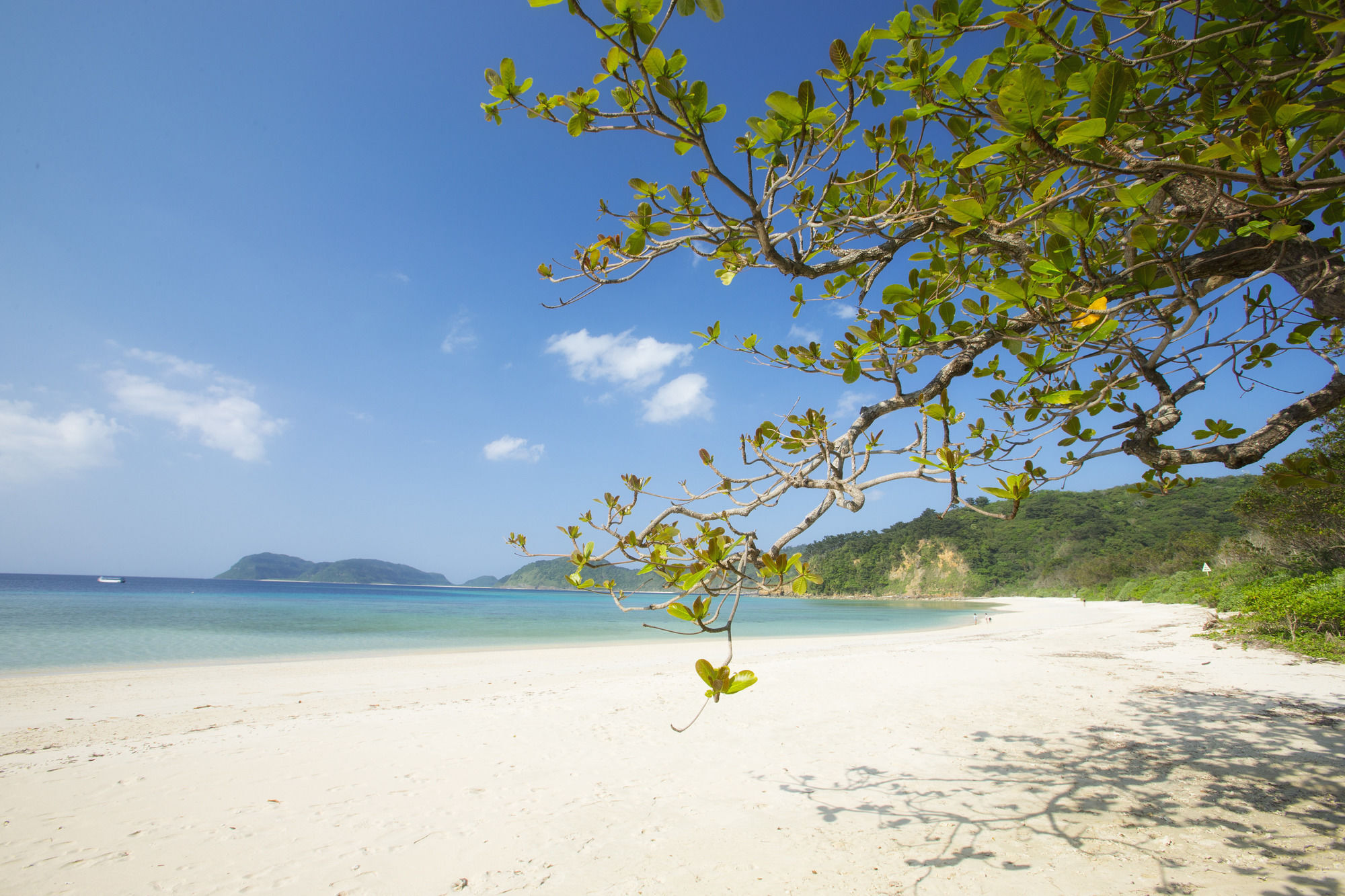 Iriomote Hotel By Hoshino Resorts Urauchi Ngoại thất bức ảnh